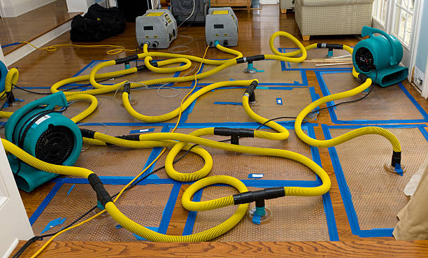 Professional Burst Pipe Water Damage technician working in Caseyville, IL